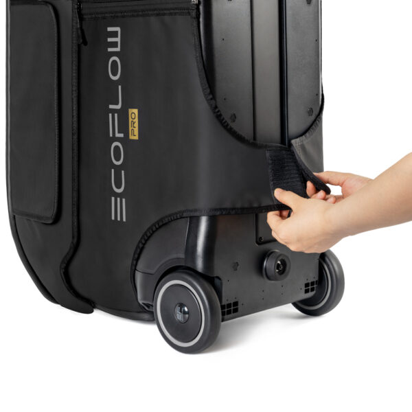 EcoFlow Delta Pro Bag - Image 3