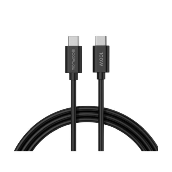 Φορτιστής EcoFlow Rapid GaN USB-C / USB-A 65W με Καλώδιο - Image 2